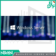 windows server